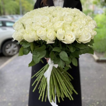 Букет из 101 белой розы Premium 60 см.