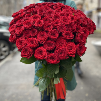 101 красная роза Эквадор 70 см.