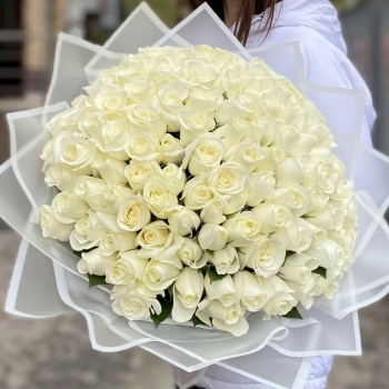Букет из 101 белой розы 50 см